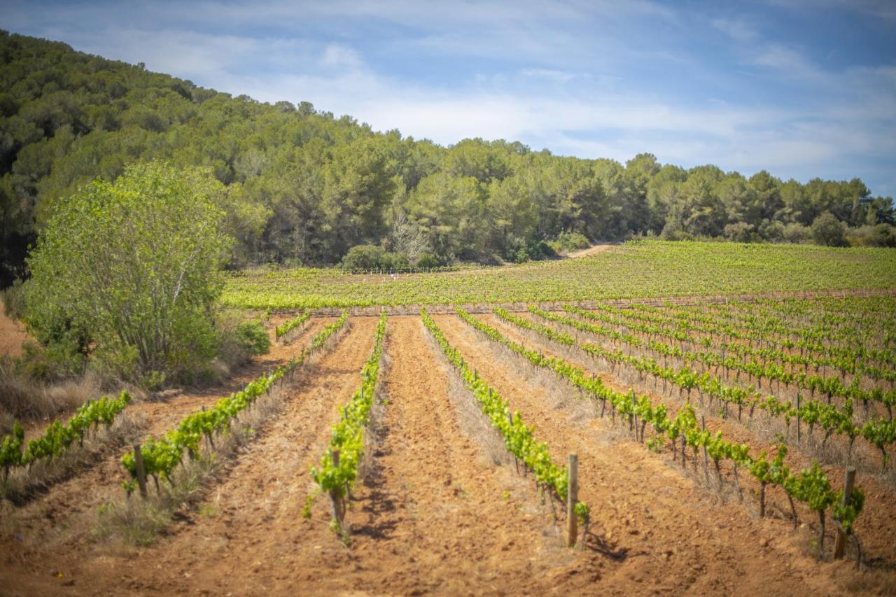 Catalunya Casas Tranquil Nature "Feel" , Yet Only 4 Min To Beach! 卡拉费尔 外观 照片